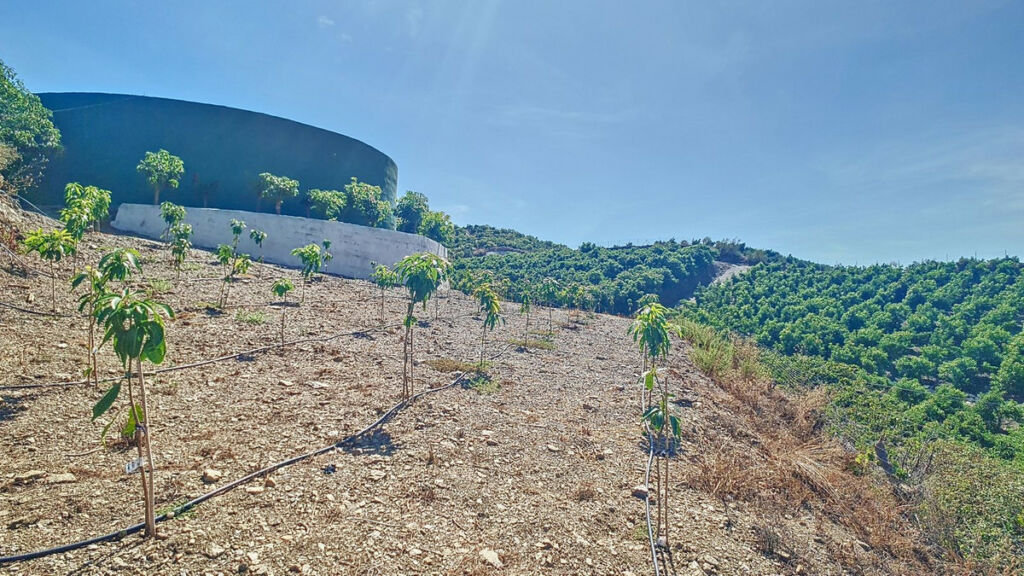 Finca - Cortijo Vélez-Málaga Málaga - image 81