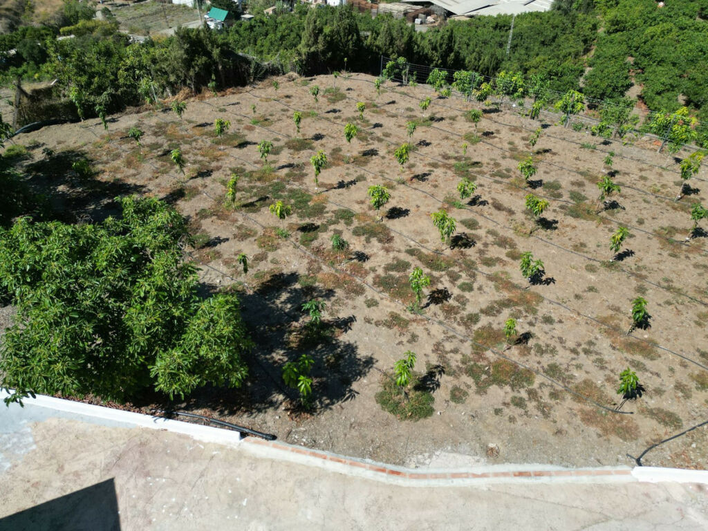 Finca - Cortijo Vélez-Málaga Málaga - image 82