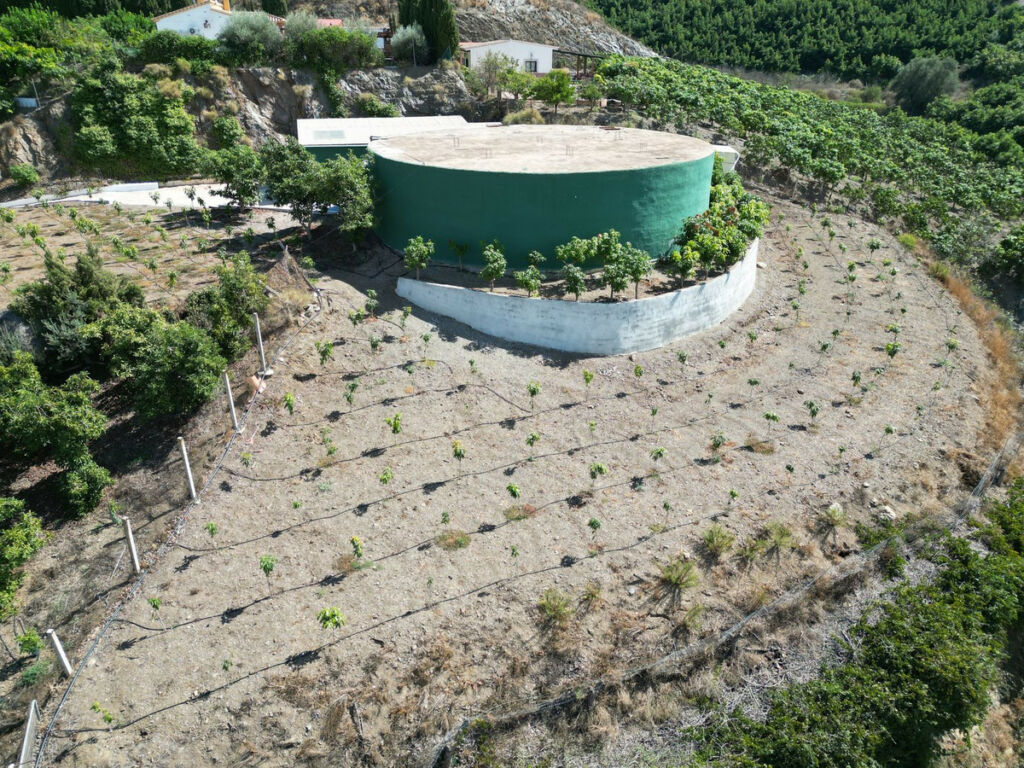 Finca - Cortijo Vélez-Málaga Málaga - image 83