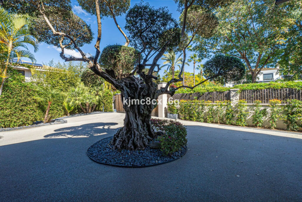Detached Villa Guadalmina Baja Málaga - image 87