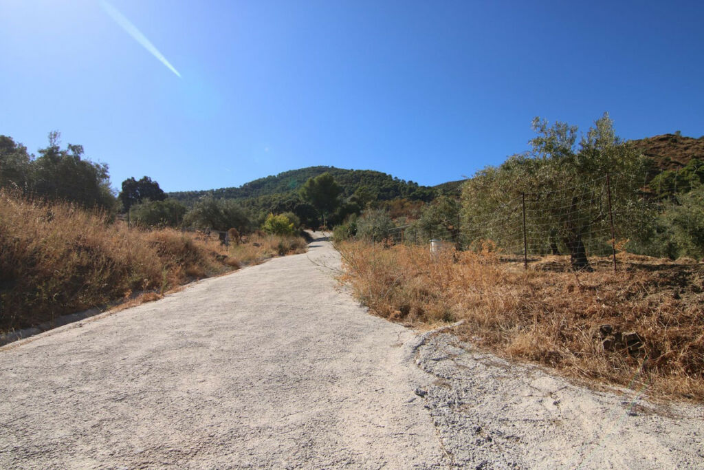 Land Tolox Málaga - image 9