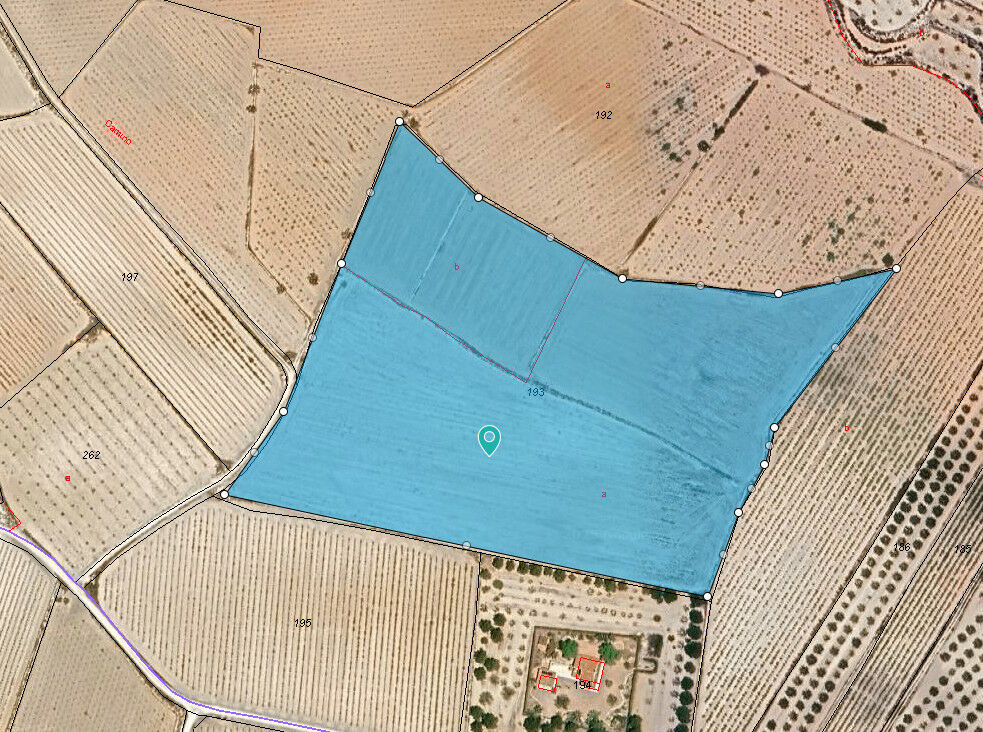 Land Pinoso Alicante - image 9