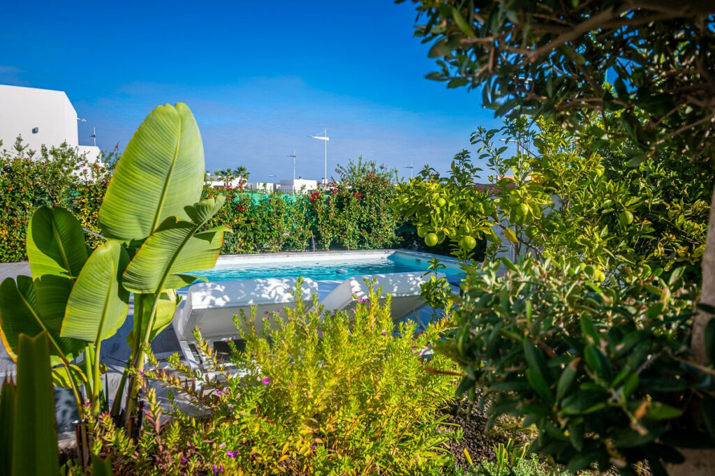 Detached Villa Algorfa Alicante - image 9