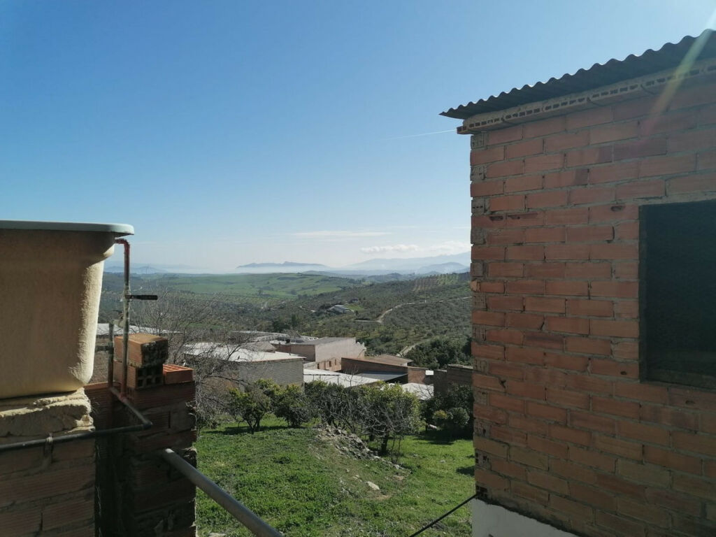 Detached Villa Alozaina Málaga - image 9