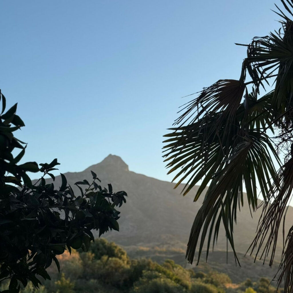 Ground Floor Apartment Marbella Málaga - image 9